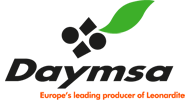 daymsa.com